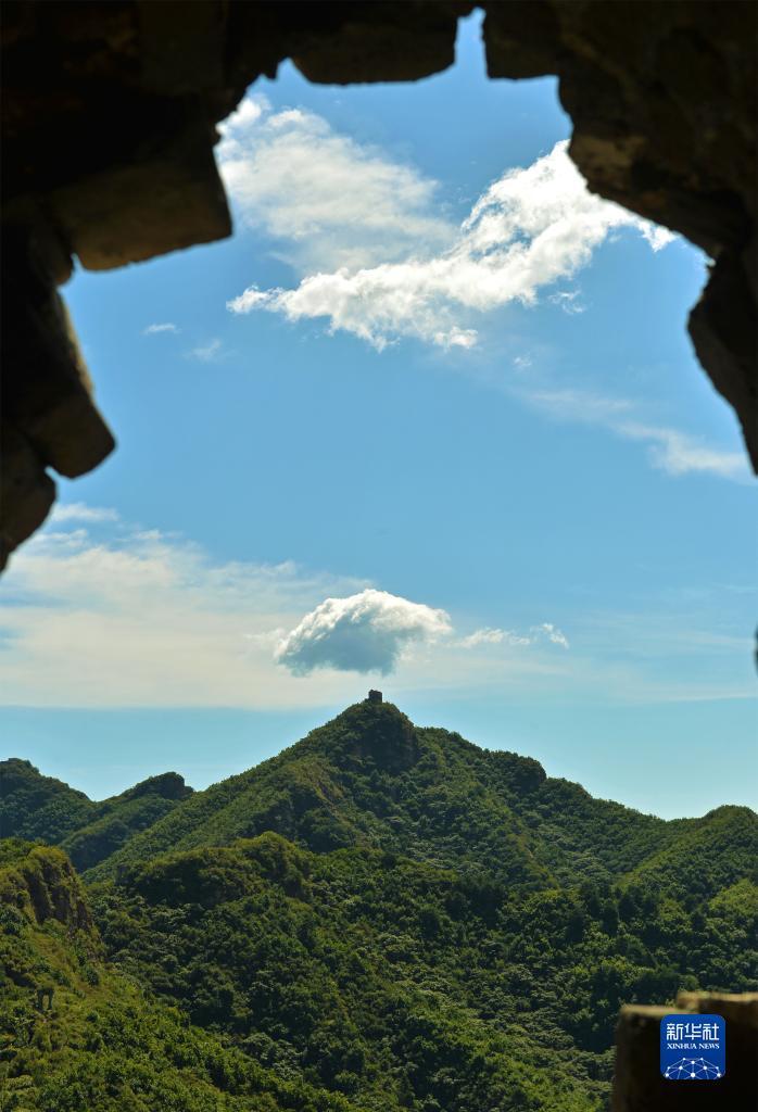 腾龙发布会